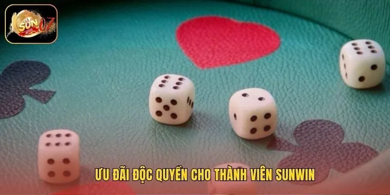 Ưu đãi độc quyền cho thành viên Sunwin
